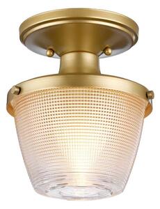 Plafonieră pentru baie Quoizel QZ-DUBLIN-SF-PNBR DUBLIN 1xE27/40W/230V IP44 auriu