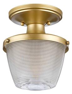 Plafonieră pentru baie Quoizel QZ-DUBLIN-SF-PNBR DUBLIN 1xE27/40W/230V IP44 auriu