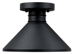 Plafonieră de exterior Westinghouse 61238 WALTER 1xE27/60W/230V IP44
