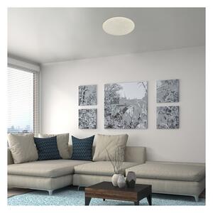 Rabalux 5540-LED Plafonieră dimabilă DAMIEN LED/24W/230V Wi-Fi + telecomandă