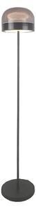 Lampadar LED dimabil Rabalux 74038 XELIRA LED/20W/230V 3000/4000/6000K