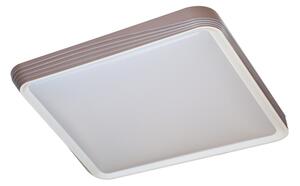 Rabalux 71166 - Plafonieră LED DRUZOR, 40 W, 230 V, 3000 K