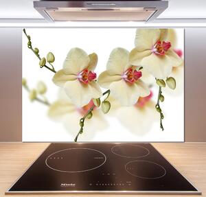 Sticlă printata bucătărie Orhidee