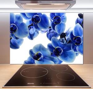 Sticlă bucătărie albastru orhidee