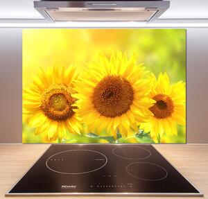 Sticlă pentru bucătărie Floarea soarelui