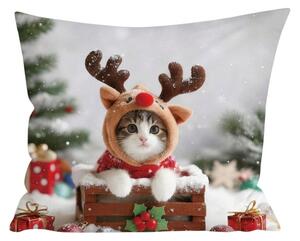 Husa de perna 3D din microfibra RUDOLPH KITTEN 45x45 cm, colorat