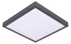 Plafonieră LED cu senzor VITALI LED/24W/230V 4000K