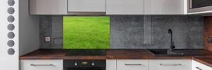 Panou sticlă bucătărie iarbă verde