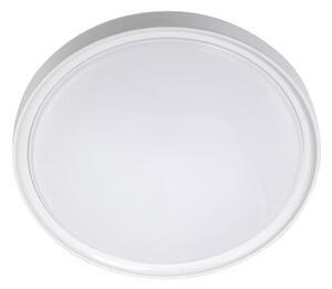 Plafonieră LED LED/18W/230V d. 30 cm alb