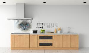 Panou sticlă decorativa bucătărie Cat ochi albaștri
