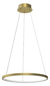Lustră LED pe cablu HOOP LED/27W/230V d. 50 cm 4000K auriu
