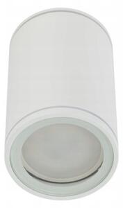 Spot FLARE 1xGU10/10W/230V 10 cm alb