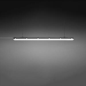 BRUMBERG Humid One Pro Lampă de baie cu LED DALI 149cm, reglabil, Gri, Oțel inoxidabil