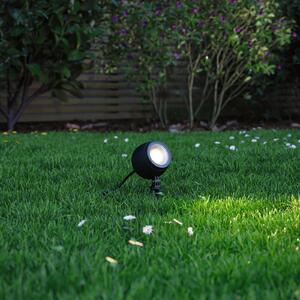 Paulmann Kikolo LED sol spike lumina reflectoarelor 8W 3,000K 20°, Negru, Metal, Modern