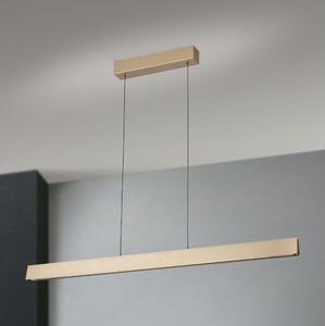 Lustră LED dimabilă pe cablu Orion HL 6-1716/120 TARA LED/44W/230V auriu