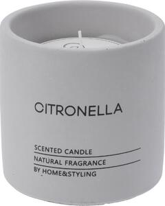 Lumânare repelentă Citronella în recipient din beton, 10 x 10 cm