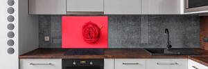 Panou sticlă decorativa bucătărie Trandafir roșu