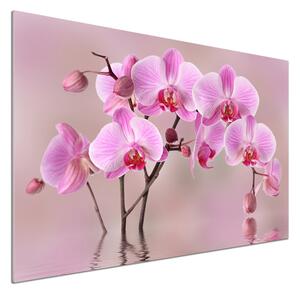 Panou sticla securizata bucatarie orhidee roz