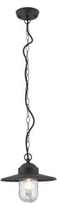 Orion AL 11-1318 - Corp de iluminat suspendat pentru exterior EDWARD, 1xE27/60W/230V, IP44, antracit
