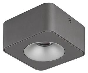 Plafonieră LED Globo 43100-1 HANGARAU LED/6,5W/230V 11,7x11,7 cm