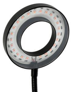 Lampă LED flexibilă dimabilă de masă cu clemă pentru creșterea plantelor VITARO 2xLED/4W/230V negru