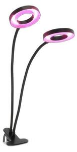 Lampă LED flexibilă dimabilă de masă cu clemă pentru creșterea plantelor VITARO 2xLED/4W/230V negru