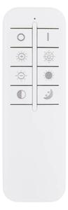 Globo 67387-60D - Plafonieră LED reglabilă LAUREL LED/60W/230V transparentă+telecomandă