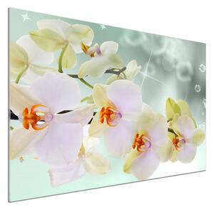 Panou sticla securizata bucatarie alb orhidee