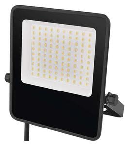 Proiector LED VISIO LED/50W/230V 4000K IP65