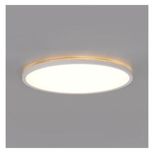 Plafonieră LED pentru baie NIVERA LED/12W/230V IP54 d. 22,5 cm alb