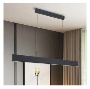 Lustră LED dimabilă pe cablu Brilagi SLIMLINE LED/40W/230V 3000-6000K antracit + telecomandă