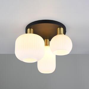 Trio Lighting Plafonieră Diva, 3 becuri, metal, sticlă, alb, culoarea alamei, reglabil, Negru, Camera de zi / sufragerie, Sticlă