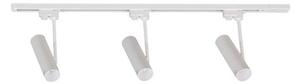Zuma Line 3557 - Lampă spot pe șină LISA 3xGU10/35W/230V albă