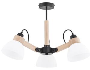 Lustră DANTONA aplicată pe tavan, 3xE27/15W/230V, negru/bej