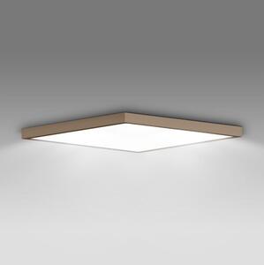 Brilagi - LED Plafonieră pentru baie FRAME LED/50W/230V 60x60 cm IP44 bej