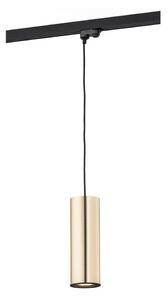 Lustră pe cablu pentru sistem pe șine Argon 4318 DELF 1xE27/15W/230V alamă