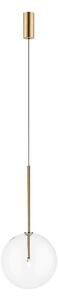 Zuma Line P0606-01B-2GAC - Lustră suspendată pe cablu MILAN 1xG4/2W/230V, auriu