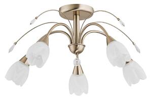 Plafonieră BASTER 5xE14/10W/230V aurie