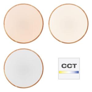 Brilliant - Plafonieră LED dimerizabilă SLIMLINE LED/60W/230V + telecomandă
