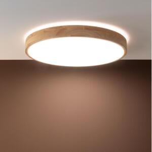 Brilliant - Plafonieră LED dimerizabilă SLIMLINE LED/60W/230V + telecomandă