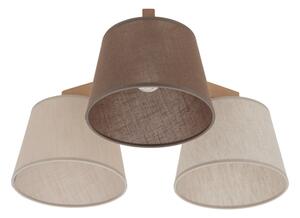 Brilagi - Lustră aplicată LATTE SABIA 3xE27/15W/230V pin/mix
