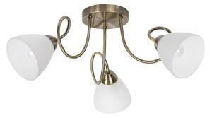 Rabalux 71481 - Lustru de tavan aplicat PALOMINA 3xE27/60W/230V