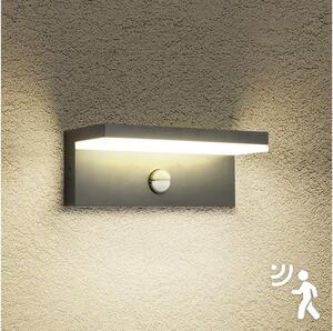 Brilagi-LED Aplica de perete exterior cu senzor TESSI LED/10W/230V antracit IP54