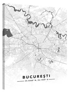 Street Map · Cauți Tablou cu Harta Orașului tău?