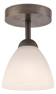 Lustr ADRIANO 1xE27/60W/230V, přisazený model