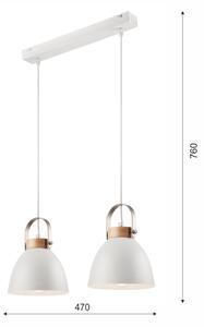 Lustr pe cablu DANIELLE 2xE27/60W/230V