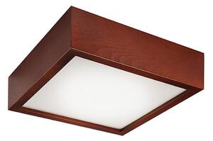 Plafonier 2xE27/60W/230V, iluminare plafon simplă și eficientă