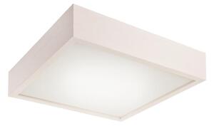 Plafonier 2xE27/60W/230V, iluminare plafon simplă și eficientă