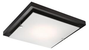 Plafonier 1xE27/60W/230V, iluminare plafon simplă și eficientă
