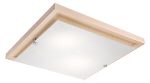 Plafonier 2xE27/60W/230V, iluminare plafon simplă și eficientă